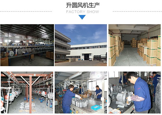 锅炉助燃风机(图2)